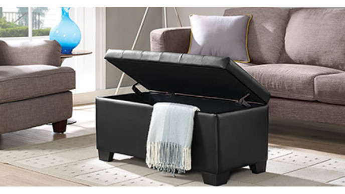 Storage Ottoman 50% Off @ Best Buy -- Now $100 & Free Shipping