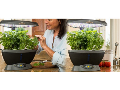 51% Off Miracle Gro AeroGarden 6 LED with Gourmet Seed Kit only $100 @ Amazon.ca