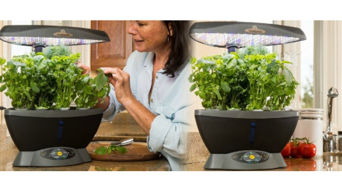 51% Off Miracle Gro AeroGarden 6 LED with Gourmet Seed Kit only $100 @ Amazon.ca