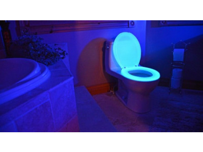 Night Glow Toilet Seat Only $35 @ Home Depot Boxing Day Sale!
