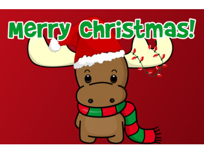 Merry Christmas Moosers!!