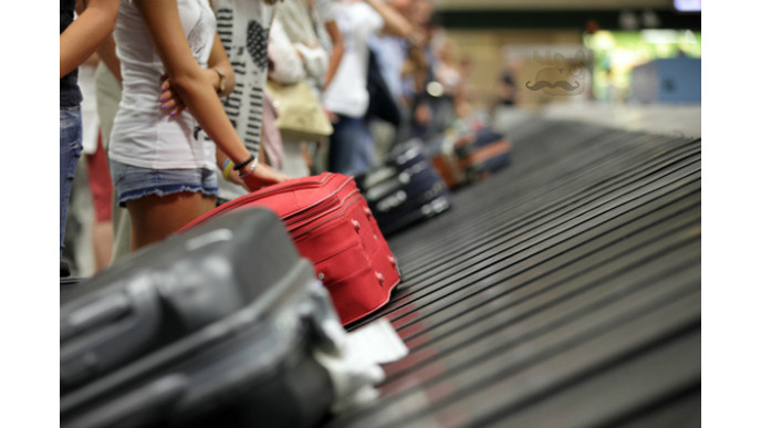 87% Off Via Rail Canada Cascadia 24" Luggage Was $200 | Now $27 @ Sears *HOT* (EXPIRED)