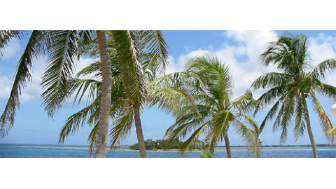 Canada Contest Roundup: 5th August 2009