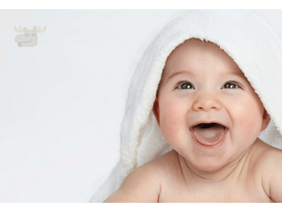 Best Buy Canada: Evenflo Portable Babysuite Classic Playard Was $120 | Now $70