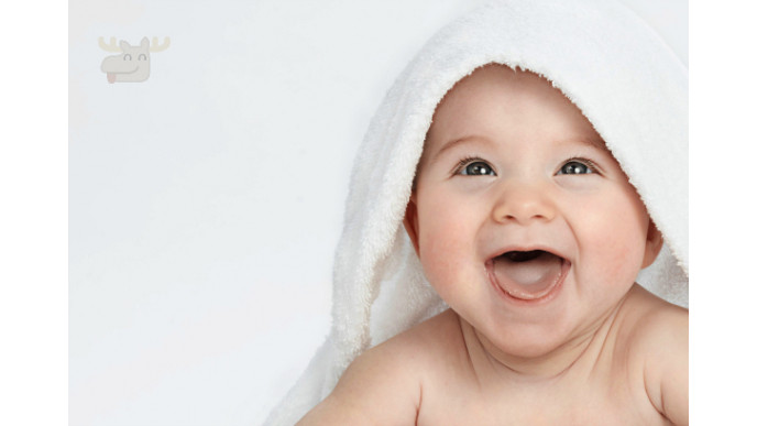 Best Buy Canada: Evenflo Portable Babysuite Classic Playard Was $120 | Now $70