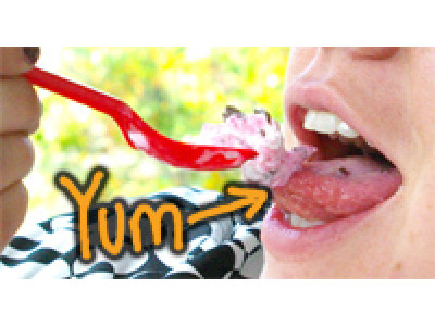 Join Dairy Queen Club For A Free Blizzard Coupon! 