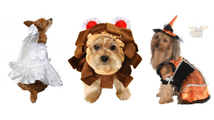 Up to 81% Off - Pet Costumes Under $10 @ Amazon.ca 