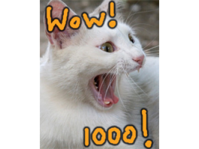 We’ve Reached 1000 Bargainmoosers! Woop! 