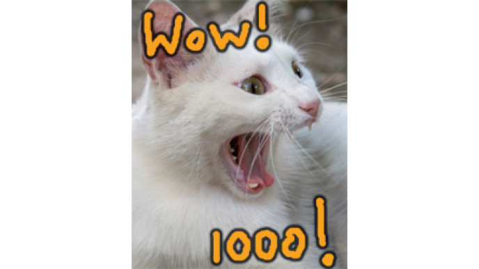 We’ve Reached 1000 Bargainmoosers! Woop! 