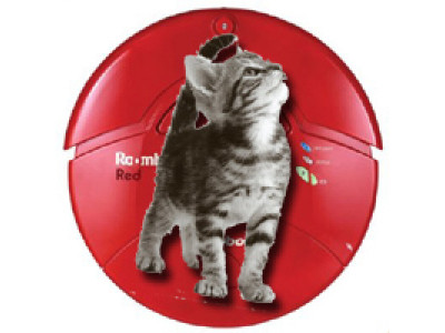 Roombas: Not Just For Cat Rides