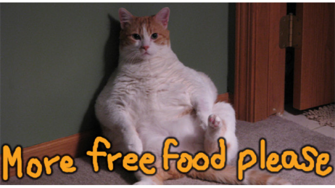 Pet Freebies From Purina Pet Food