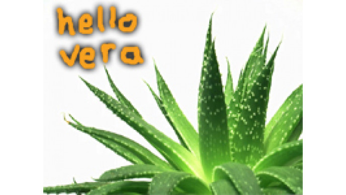 Canadian Freebies: Free Aloe Vera Samples