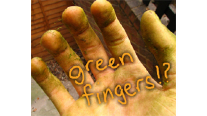 BrecksBulbs Canada: $35 Discount Off $75! 