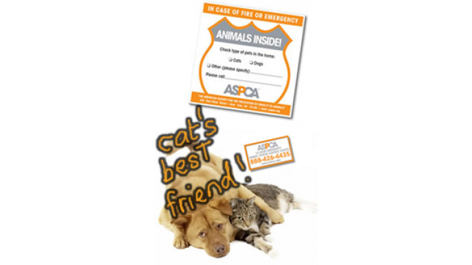 Canadian Freebies: Free ASPCA Pet Safety Pack! 