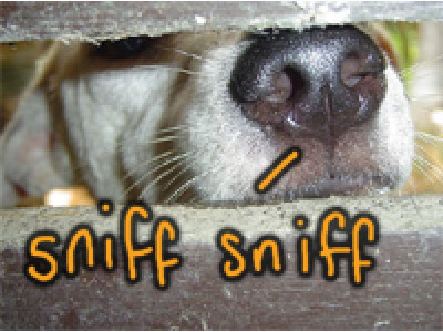 Free Scent Sample @ Shar’s Candles