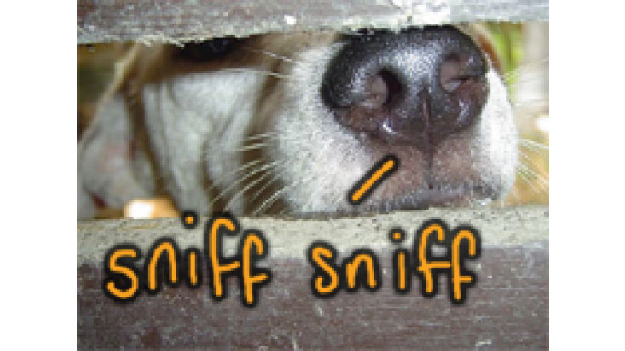 Free Scent Sample @ Shar’s Candles