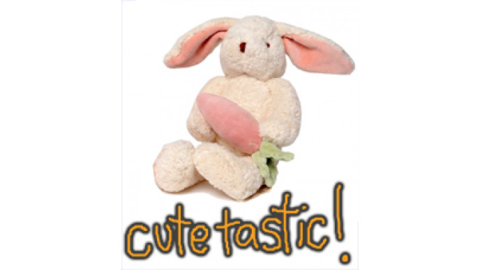 RaspberryKids.com Discount: 15% Off $50+!