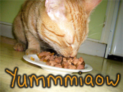 Hills Pet Food: Free $7 Coupon! 