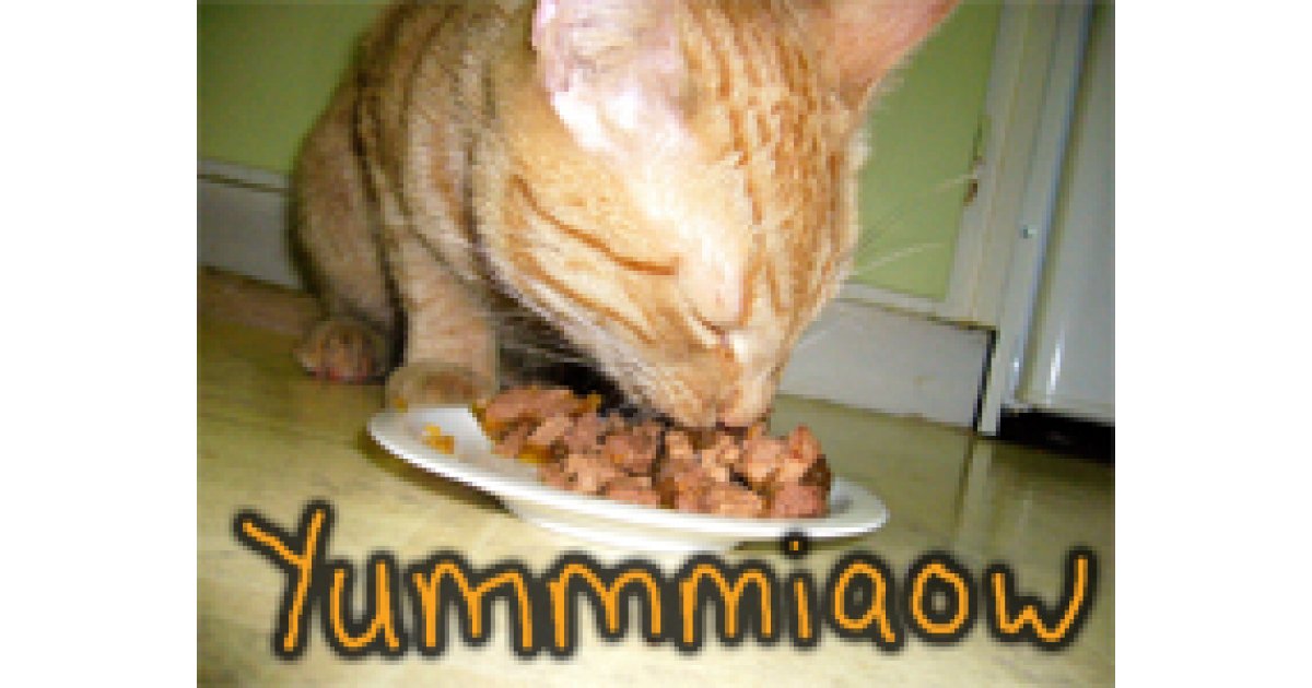 Hills Pet Food Free 7 Coupon!