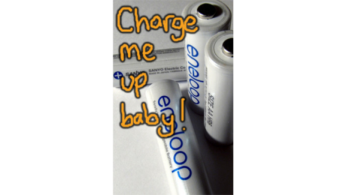 Eneloop Rechargeable Batteries $10.99 @ Dell.ca!