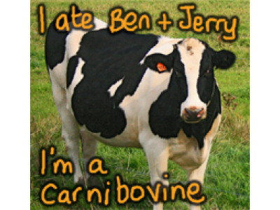 Canadian Freebies: Ben And Jerry’s Free Cone Day 2009! 