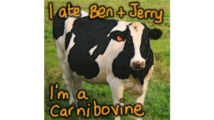 Canadian Freebies: Ben And Jerry’s Free Cone Day 2009!