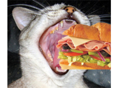 Shoppers Drug Mart: Free $10 Subway Cards!