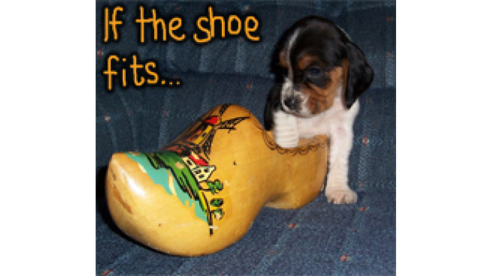 The Shoe Company Kids Event (Freebies Galore)