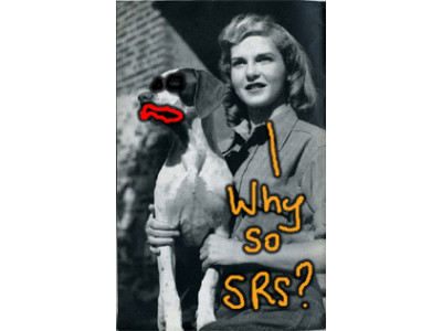 Free Pet Food For A Week @ AmiBouff Canada! 