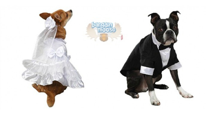 Amazon Canada: Yappily Ever After Dog Wedding Dress Was $24 | Now $6.72