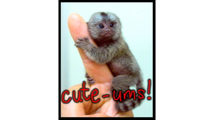 GingerBreadMonkeys: Canadian Online Baby Boutique – 30% Discount!