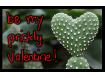 Kodak Gallery Gifts – Lots Of Discounts! (Valentines Day Ideas!!)