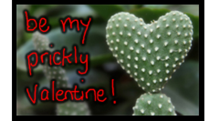 Kodak Gallery Gifts – Lots Of Discounts! (Valentines Day Ideas!!)