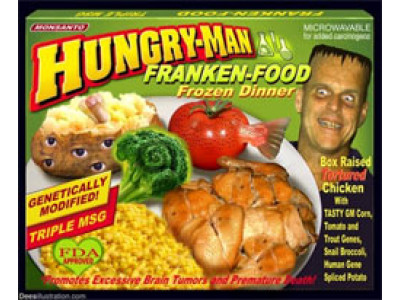 (Ontario) HungryMan Frozen Dinners For Less Than A Dollar! 
