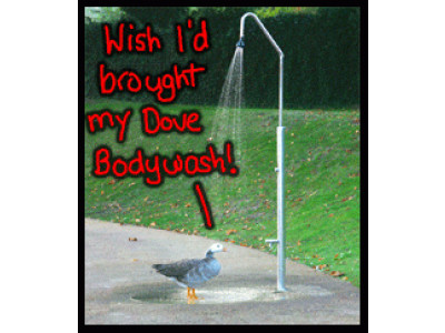 Dove Cream Oil Body Wash: Buy 1 Get 1 Free!!!! 