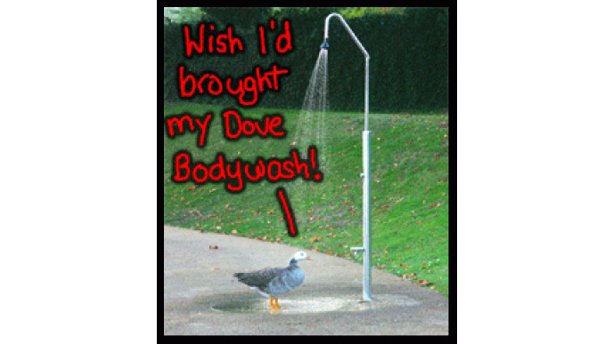 Dove Cream Oil Body Wash: Buy 1 Get 1 Free!!!! 