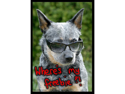 Canadian Coupons: The Sunglass Hut Canada – Free Care Kit & Visor Clip! 