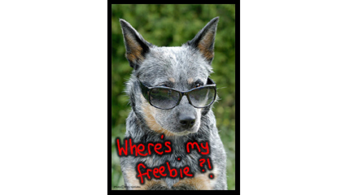 Canadian Coupons: The Sunglass Hut Canada – Free Care Kit & Visor Clip!