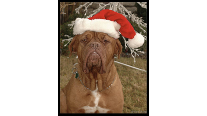 5 Hints And Tips On How To Save Money On Christmas Greeting Cards! 