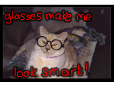 ClearlyContacts Canada: Prescription Glasses For Only $34 During November! 