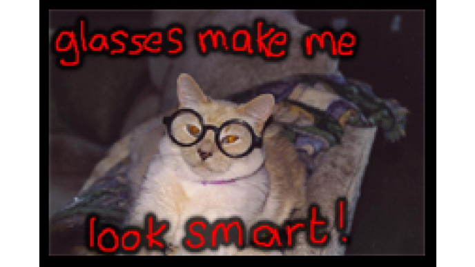 ClearlyContacts Canada: Prescription Glasses For Only $34 During November!