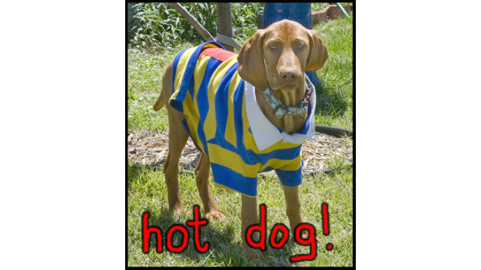 Old Navy Canada – Make The Discounts Count!  ($10 off $50)