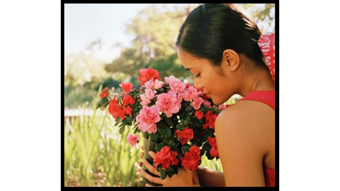 Flowers Fast Coupon Code for 20% discount on a $50+ spend online