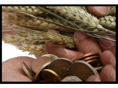 Naturally Savvy "Savvy Sampler" – free products and free samples! 