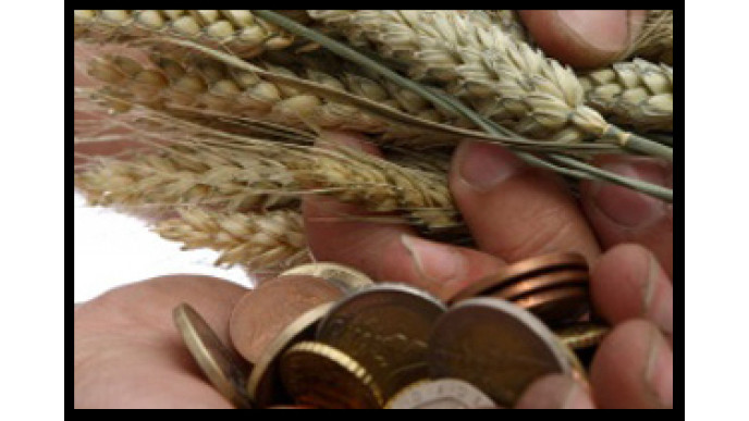 Naturally Savvy "Savvy Sampler" – free products and free samples! 