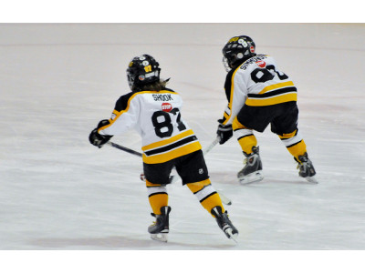 Mabel's Labels: Hockey Gear Label Pack Was $17 | Now $11.47 & Free Shipping