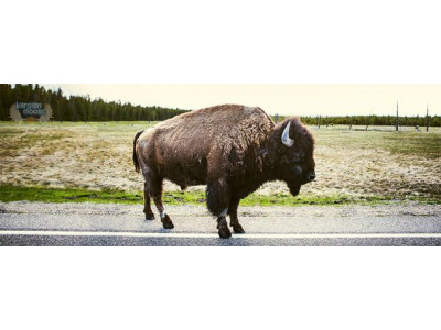 The Last Hunt Canada Promo Code: Free Shipping, No Minimum