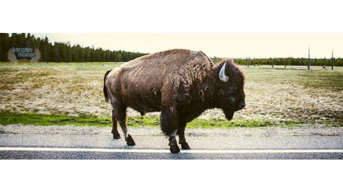 The Last Hunt Canada Promo Code: Free Shipping, No Minimum