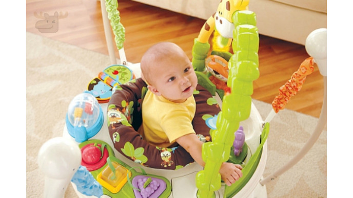 fisher price wild jumperoo