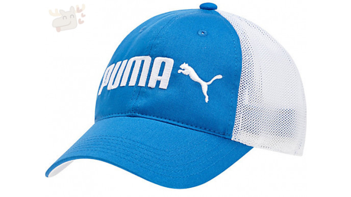 Cute Ladies Puma Cap only $8.80 Shipped!